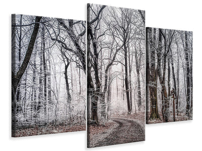 modern-3-piece-canvas-print-wintry-forest