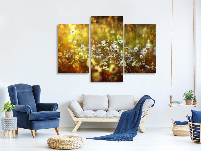 modern-3-piece-canvas-print-wonderland