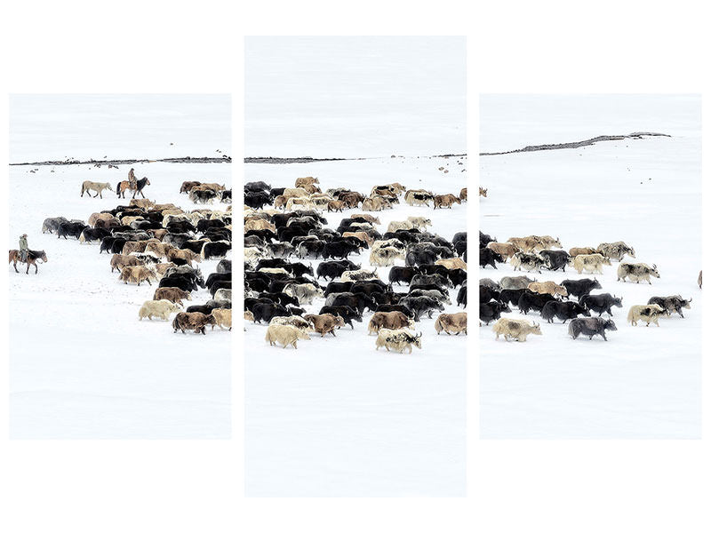 modern-3-piece-canvas-print-yaks-in-snow