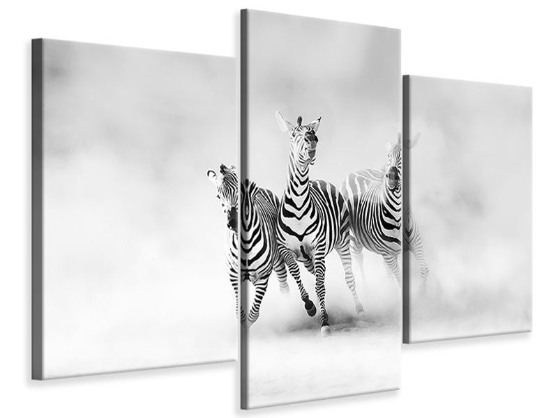 modern-3-piece-canvas-print-zebras