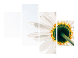 modern-4-piece-canvas-print-a-daisy