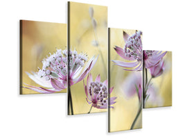 modern-4-piece-canvas-print-astrantia-major