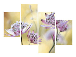 modern-4-piece-canvas-print-astrantia-major