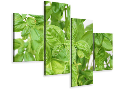 modern-4-piece-canvas-print-basil-in-xxl