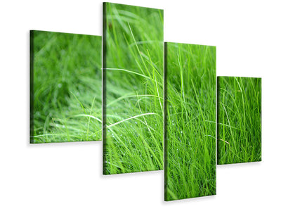 modern-4-piece-canvas-print-blades-of-grass