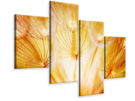 modern-4-piece-canvas-print-close-up-dandelion-in-light