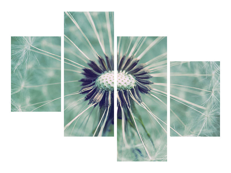 modern-4-piece-canvas-print-close-up-dandelion