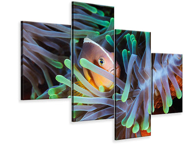 modern-4-piece-canvas-print-clownfish