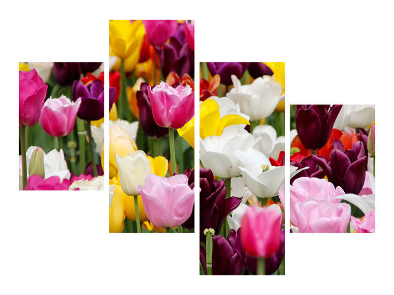 modern-4-piece-canvas-print-colorful-tulip-field