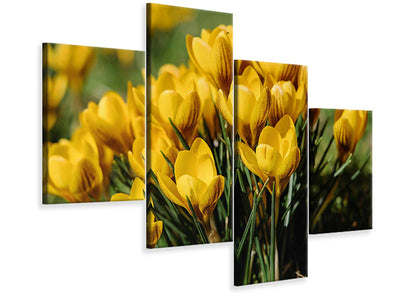 modern-4-piece-canvas-print-crocuses-in-spring