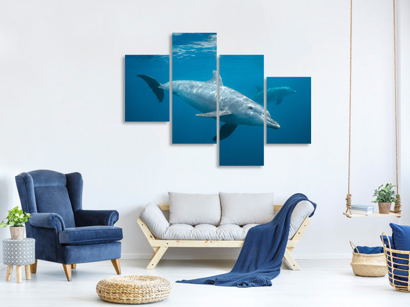 modern-4-piece-canvas-print-curious-dolphin