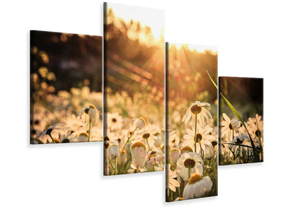 modern-4-piece-canvas-print-daisies-at-sunset