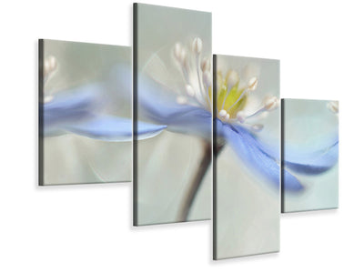 modern-4-piece-canvas-print-dancing-anemones