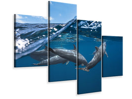 modern-4-piece-canvas-print-dolphins