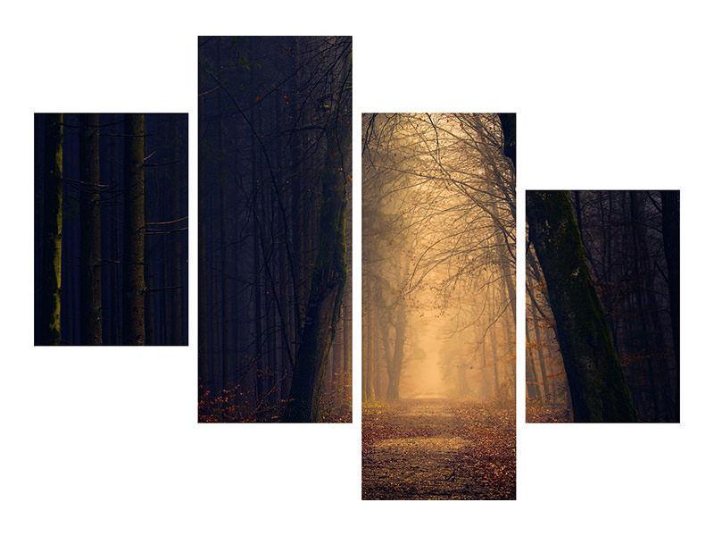 modern-4-piece-canvas-print-evening-mood-in-the-forest