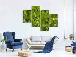 modern-4-piece-canvas-print-fresh-thyme