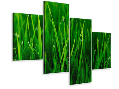 modern-4-piece-canvas-print-grass-with-morning-dew