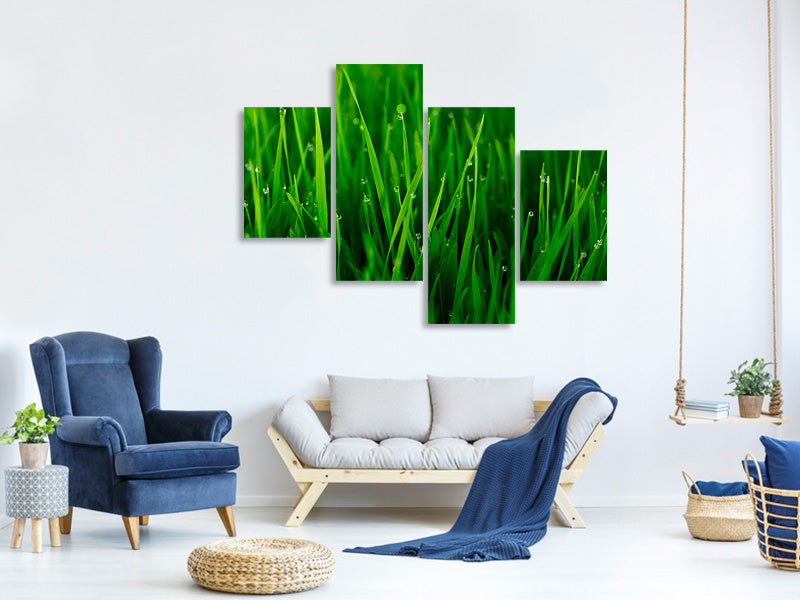modern-4-piece-canvas-print-grass-with-morning-dew
