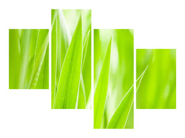 modern-4-piece-canvas-print-grass-xxl