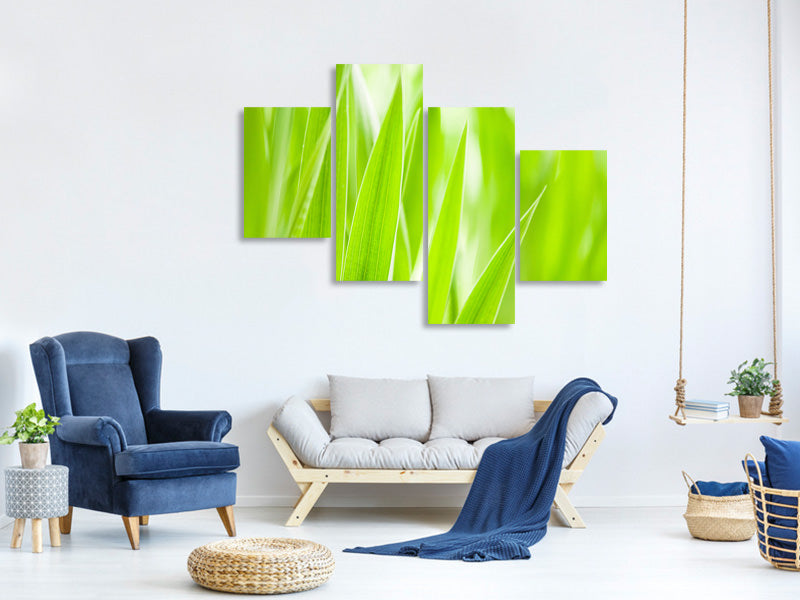 modern-4-piece-canvas-print-grass-xxl