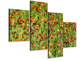 modern-4-piece-canvas-print-hawkweeds