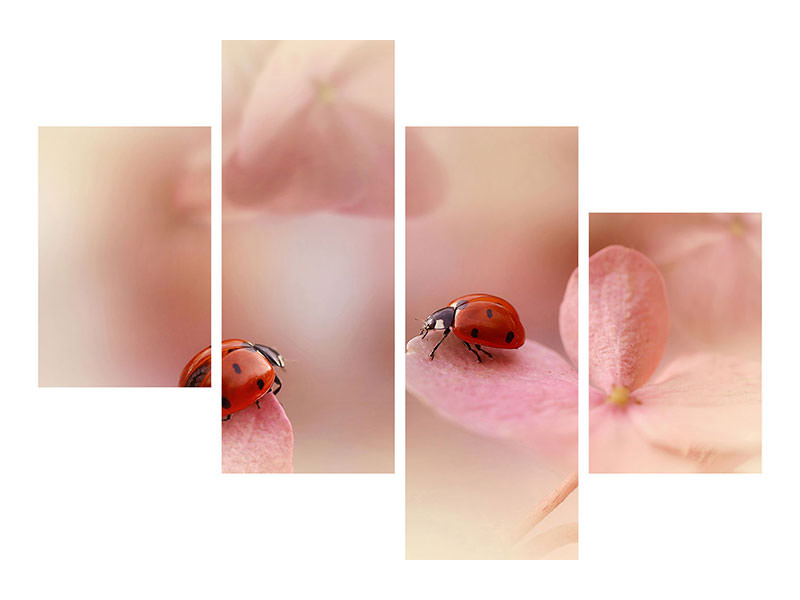 modern-4-piece-canvas-print-ladybirds-on-pink-hydrangea