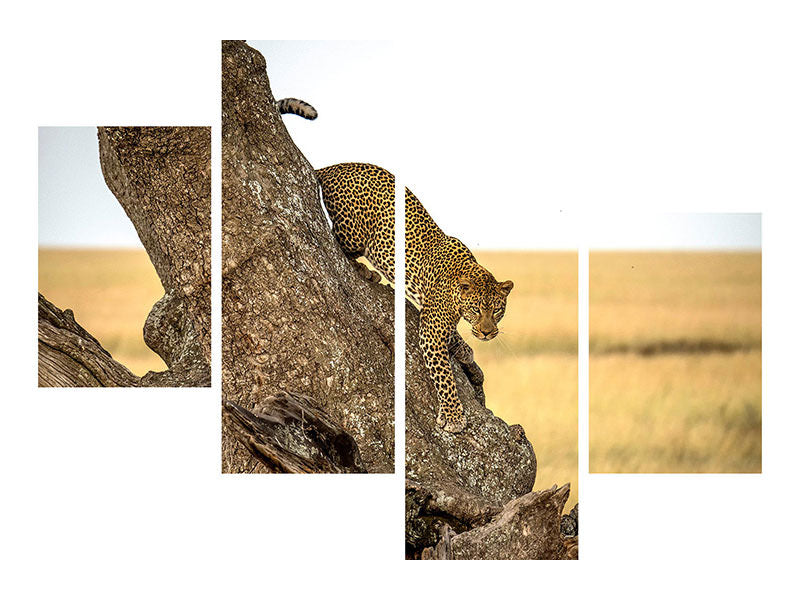 modern-4-piece-canvas-print-leopard-serengheti-tanzania