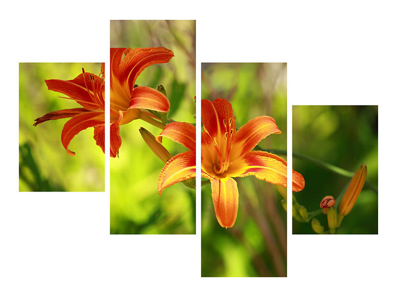 modern-4-piece-canvas-print-lilies-in-nature