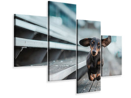 modern-4-piece-canvas-print-little-dog