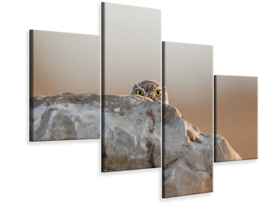 modern-4-piece-canvas-print-little-owl