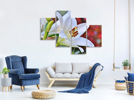 modern-4-piece-canvas-print-magnificent-lily-in-white