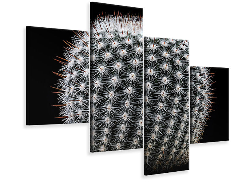 modern-4-piece-canvas-print-notocactus-scopa-ii