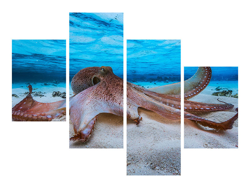 modern-4-piece-canvas-print-octopus
