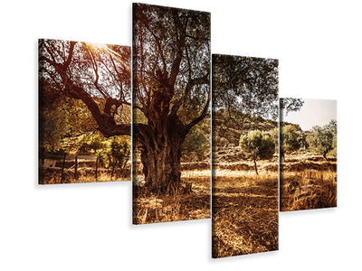 modern-4-piece-canvas-print-olive-grove
