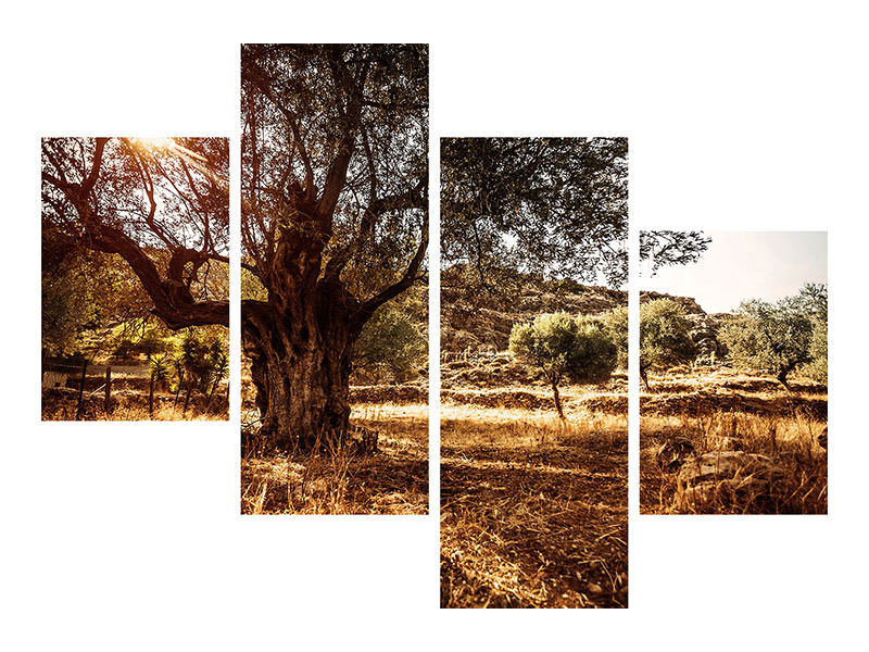 modern-4-piece-canvas-print-olive-grove