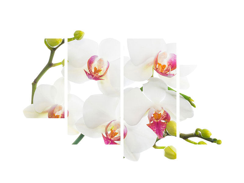 modern-4-piece-canvas-print-orchids-love