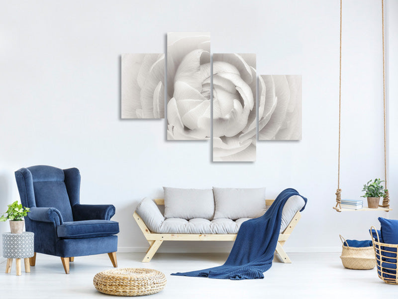 modern-4-piece-canvas-print-ranunculus