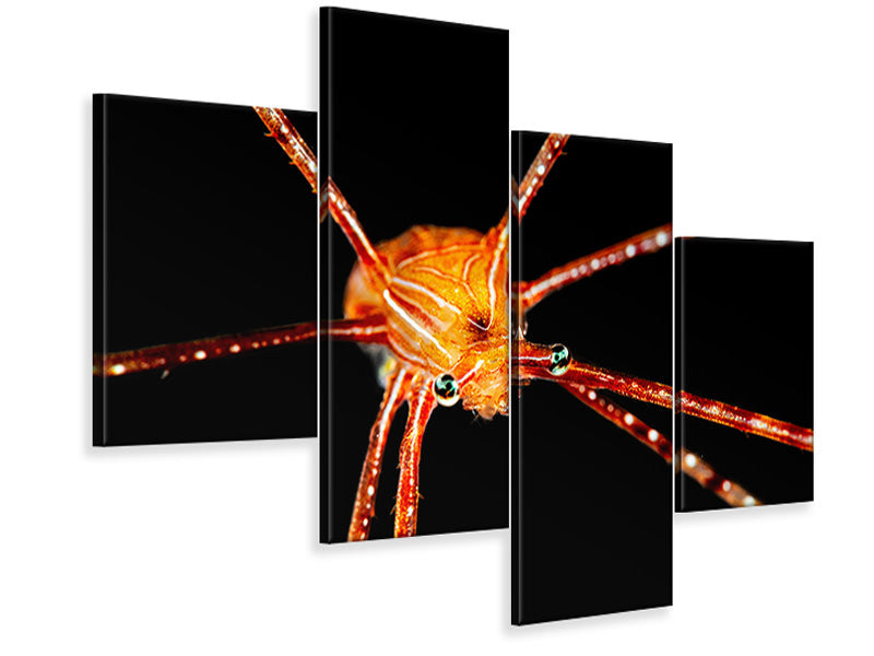 modern-4-piece-canvas-print-spider-squat-lobster