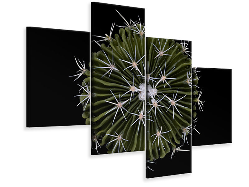 modern-4-piece-canvas-print-stenocactus