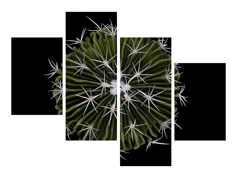 modern-4-piece-canvas-print-stenocactus