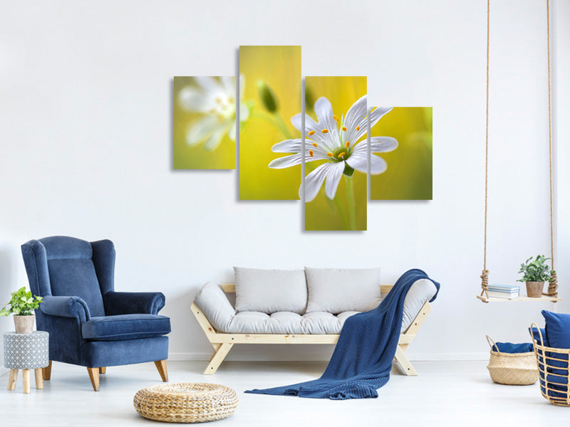 modern-4-piece-canvas-print-stitchwort-ii