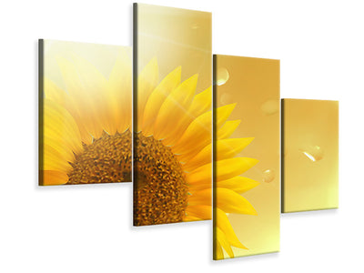 modern-4-piece-canvas-print-sunflower-in-morning-dew