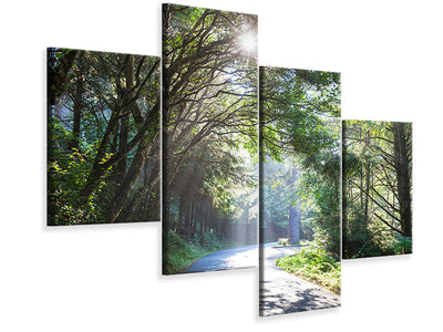 modern-4-piece-canvas-print-sunny-forest-path