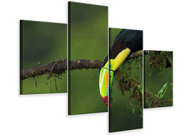 modern-4-piece-canvas-print-the-colors-of-costa-rica