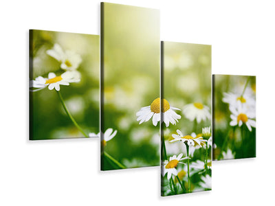 modern-4-piece-canvas-print-the-daisy