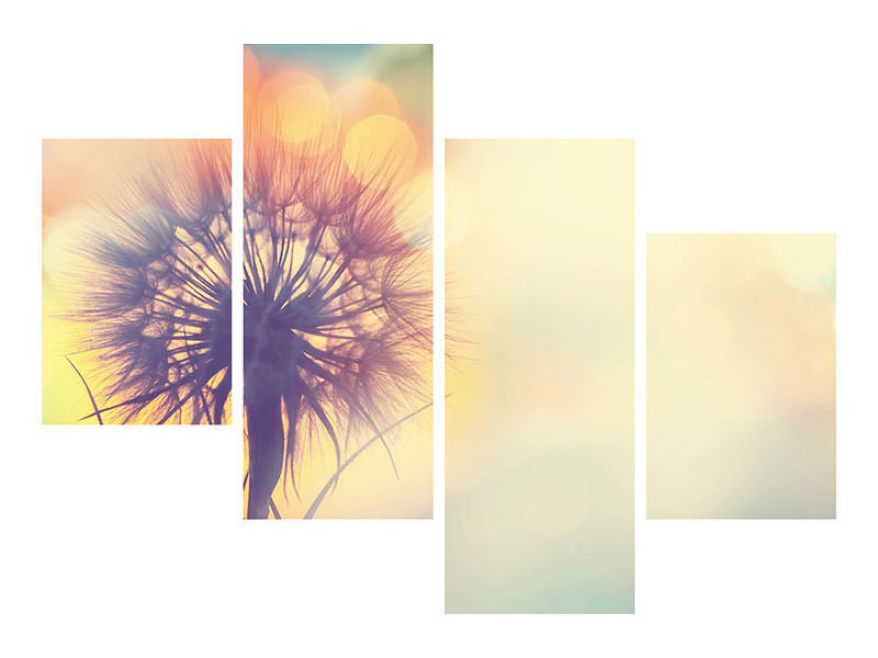 modern-4-piece-canvas-print-the-dandelion-in-the-light