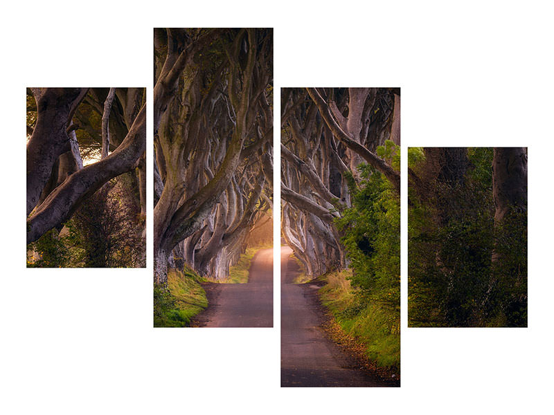 modern-4-piece-canvas-print-the-glowing-hedges