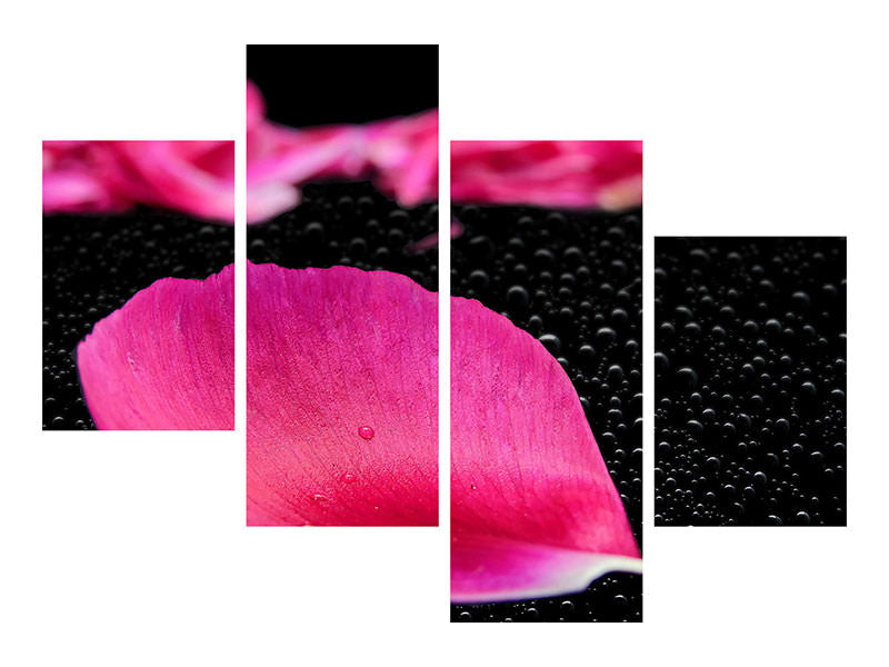 modern-4-piece-canvas-print-the-petals