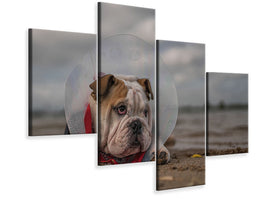 modern-4-piece-canvas-print-the-vet-gave-me-this-collarand-i-am-not-happy-with-it