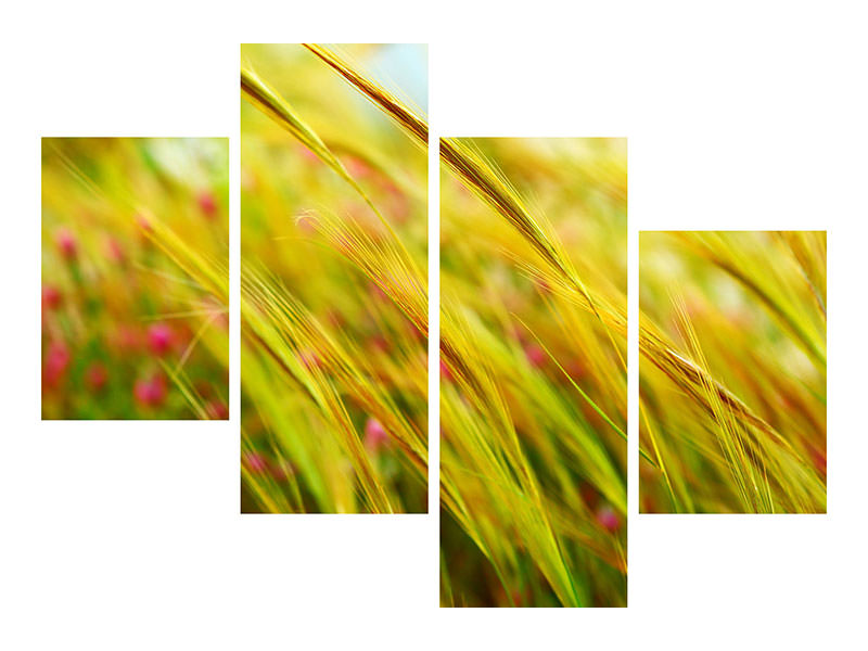 modern-4-piece-canvas-print-the-wheat-field